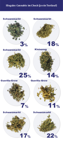 Cannabis Measurements