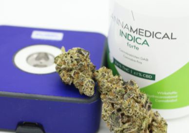 Screen-Shot-2021-05-13-at-10.32.35-AM