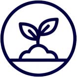 Icon Plant