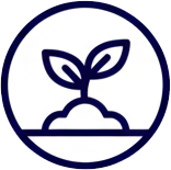 Icon Plant
