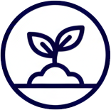 Icon Plant